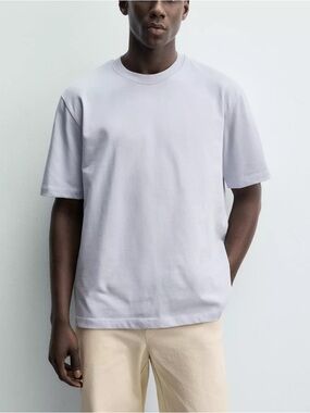 Zara Light Gray Short Sleeve Tee